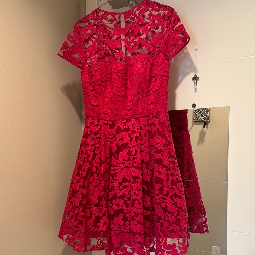 Ted Baker Elegant pink Lace Dress